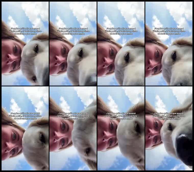 Preview Dog Chef