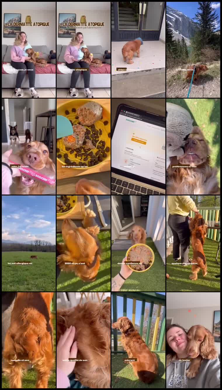 Preview Koda with Dog Chef