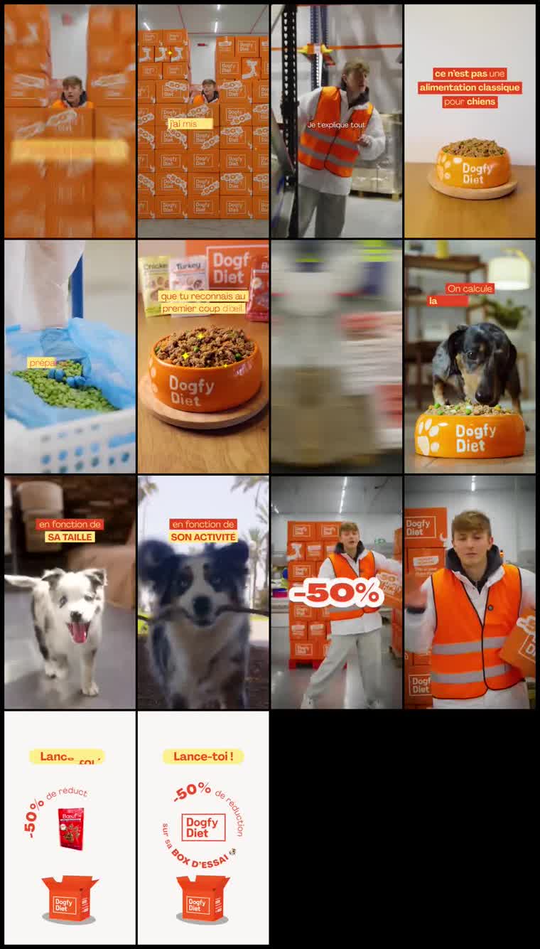 Preview Dogfy Diet