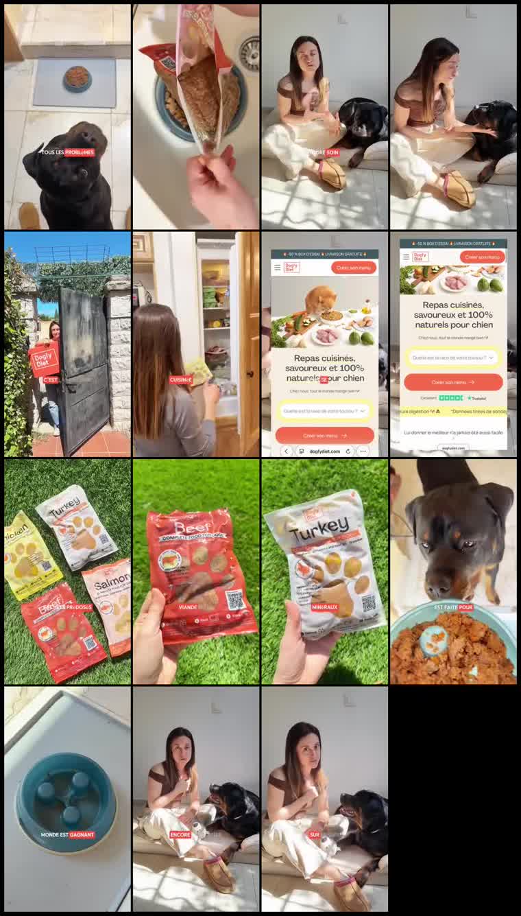 Preview Dogfy Diet France