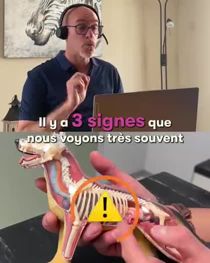 Aperçu Just Russel
