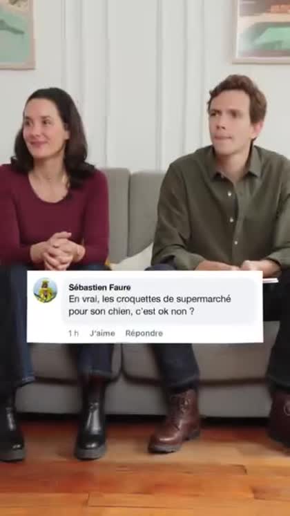 Aperçu Japhy