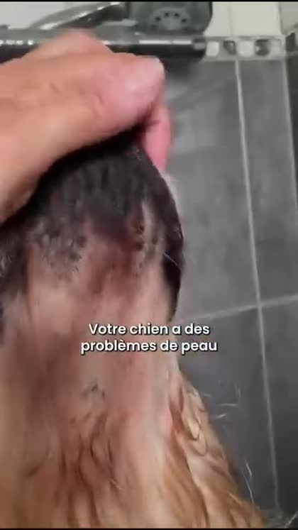 Aperçu Réglo
