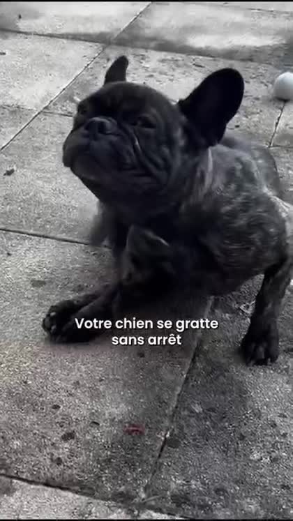 Aperçu Réglo